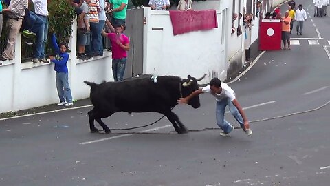 Touradas 2014 Clip 6 - Diversas Localidades Ilha Terceira - Açores - Portugal