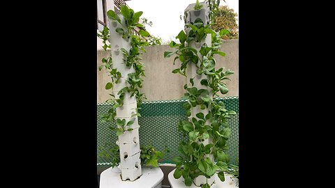 Sponsored Ad - Aerospring 27-Plant Vertical Hydroponic Outdoor Growing System - Patented Vertic...