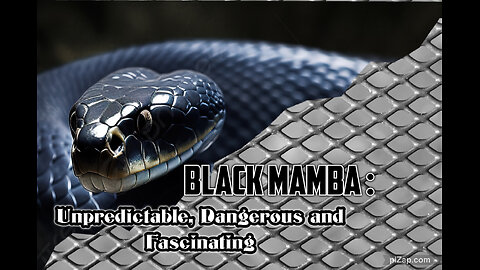 Black Mamba: Unpredictable, Dangerous and Fascinating