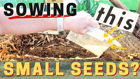 Liquid Sowing For Small Seeds. STOP Thinning Lettuce & Carrot Seedling With This Method Of Sowing/