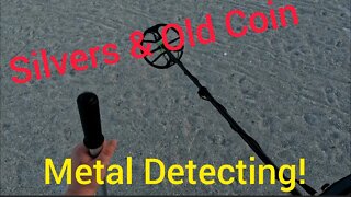 Silvers on the Beach • Metal Detecting Minelab Equinox • Florida Treasure Hunt