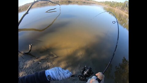 SHEEPSHEAD FROM THE BANK BEAUFORT SC