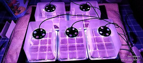【2023 Upgraded】2 PCS Reusable Seed Starter Kit with Grow Light, 80 Cells Seed Starter Tray fo...