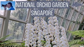 Get Lost In The Beauty Of Singapore's National Orchid Garden