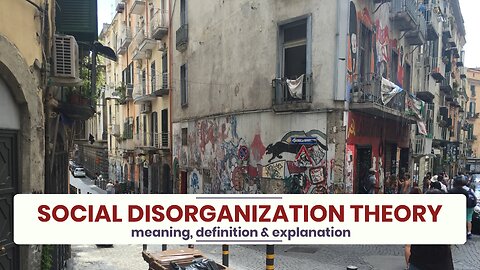 What is SOCIAL DISORGANIZATION THEORY?