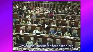 THE 2006 U.N. COUNCIL CHEMTRAIL PRESENTATION!