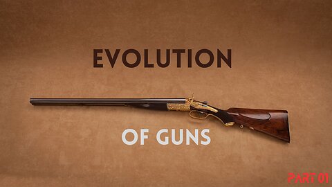 The evolution of guns - Art of History