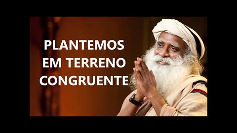 PLANTEMOS EM TERRENO CONGRUENTE, SADHGURU, DUBLADO