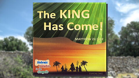 The King HAS Come - Matthew 21- HIG Ep20