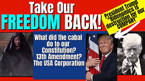 Take our Freedom Back! Cabal stole our Constitution & 13th Amendment!