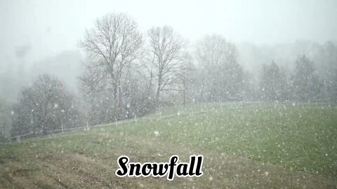 snowfall #snow #snowfall #relaxing