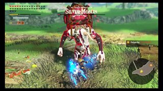 Hyrule Warriors: Age of Calamity - Vicious Moblins - EX Alert: Hyrule Field (Apocalyptic)