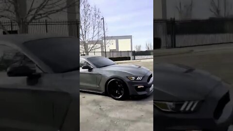 Shelby Mustang and Dodge....Power Performance ...#viral #shorts