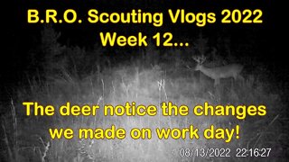 B.R.O. Scouting vlogs 2022! Week 12... It's bout to get Sporty!