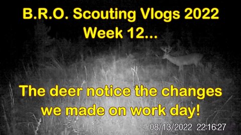 B.R.O. Scouting vlogs 2022! Week 12... It's bout to get Sporty!