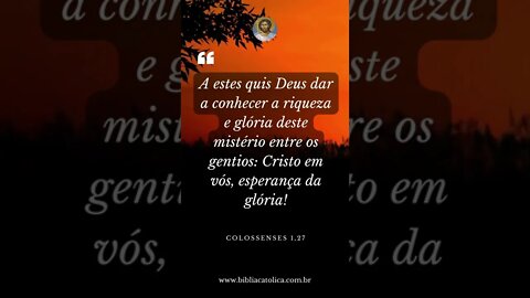 Colossenses 1,27 - A estes quis Deus dar a conhecer a riqueza e glória deste mistério entre os...