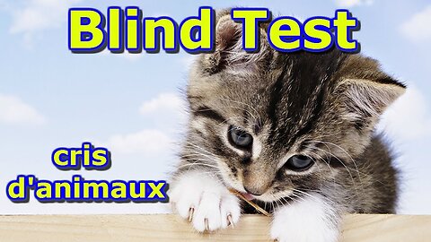 BLIND TEST LES ANIMAUX