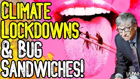 EUGENICS: Climate Lockdowns & Bug Sandwiches! - Bill Gates & The WEF Want You DEAD!