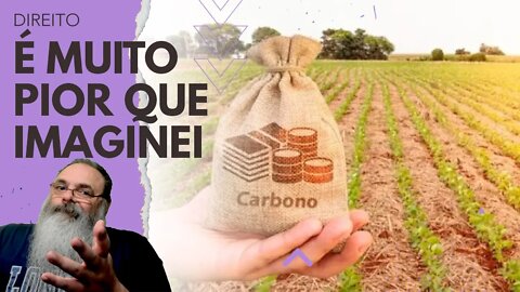 A LEI do MERCADO de CARBONO é muito PIOR que o que IMAGINEI, mas, FELIZMENTE, foi TIRADA de PAUTA