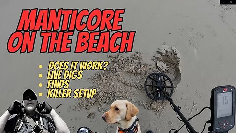 Does The Minelab Manticore Really Work on The Beach? The Proof and Setup Included!