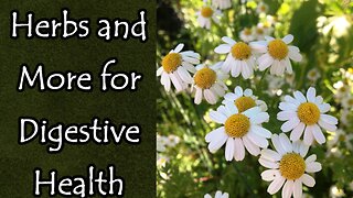 Herbs and More for Digestive Health