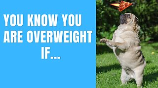 You Know You Are Overweight If... #funnyshorts