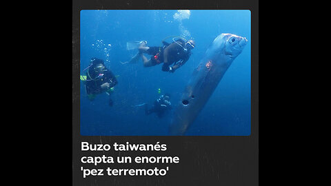 Captan un enorme pez remo que se cree presagia terromotos y tsunamis