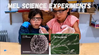 Mel Science Experiment - Tin Hedgehog Kit