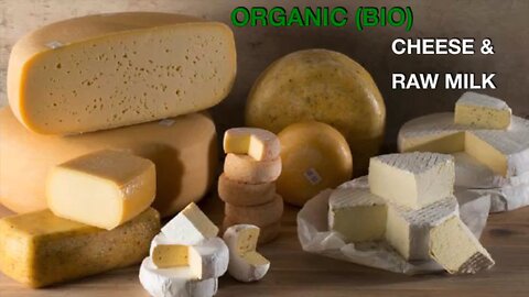 Organic cheese & raw milk 🥛 in Western Belgium 🇧🇪