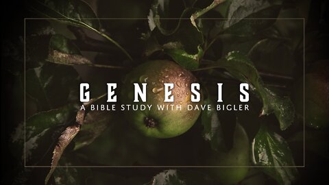 Genesis 3 Bible Study - THE FALL