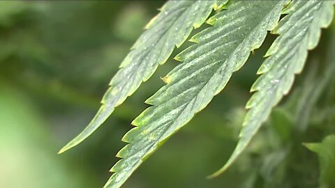 Ohio House Republicans propose bill legalizing marijuana for recreational use