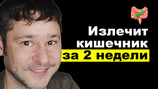 Мой Опыт с 8 500 Продуктами: Лучшие 3 для Здоровья КИШЕЧНИКА!