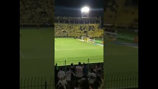 Volta Redonda x Vasco - Gol do Pedrinho (do VR) (3x1)