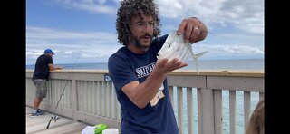 Catch & No Cook - Deerfield Pier Fishing - Viva Explores Florida!