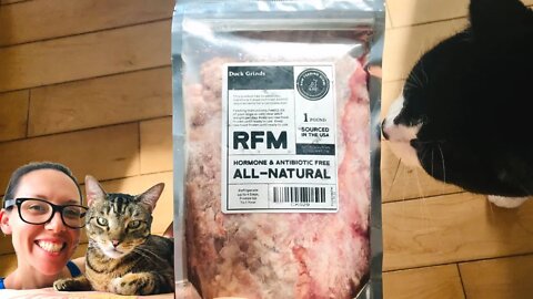 Raw Feeding Miami cat food review with 5 cats