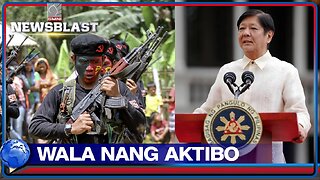 Pilipinas, wala nang aktibong guerilla front ng NPA —PBBM