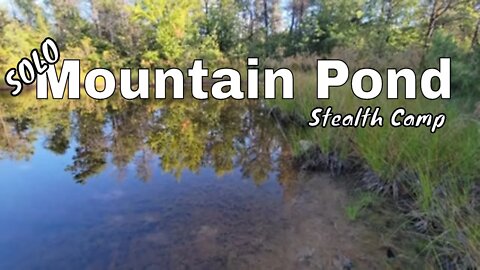 Mountain Pond - Stealth Camping - Found the Perfect Spot!