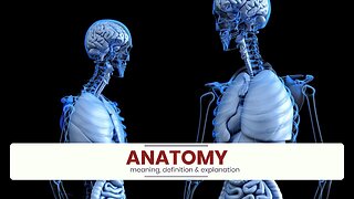 What is ANATOMY?