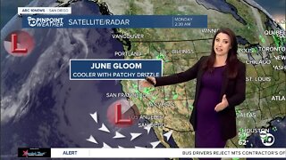 ABC 10News Pinpoint Weather with Meteorologist Megan Parry