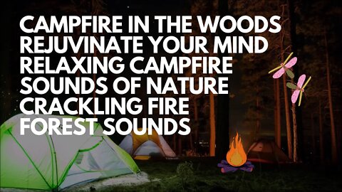 RELAXING CRACKLING CAMPFIRE IN WOODS WITH NATURES SOUNDS AT NIGHT, REJUVINATE, READ, SLEEP, STUDY