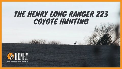 Henry long ranger 223 coyote hunting.