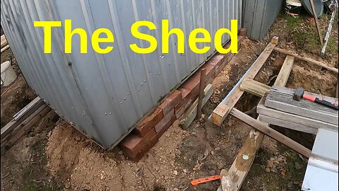 More shed work