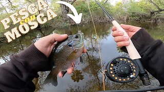 Pesca con mosca (fly fishing )