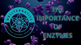 2023-12-20 The Importance of Enzymes