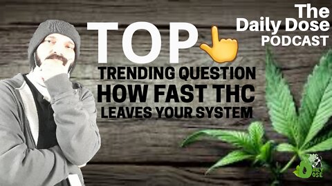 Top Trending Cannabis Question How Fast Does THC Leave Your System Answered