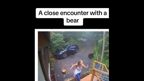 A close encounter with a bear