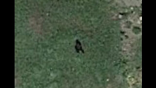 Bigfoot Image Uncompahgre National Forest, CO