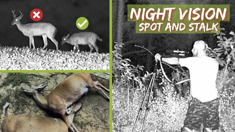 Night Vision Deer Hunting! (ATN)