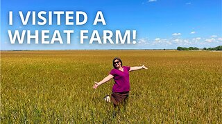 From Farm to Table: Touring an Organic Wheat Farm 🌱