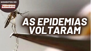 Dengue dobrou o número de casos no Brasil | Momentos